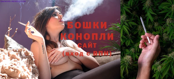 скорость Липки