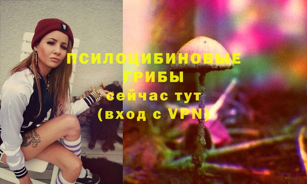 прущая мука Ладушкин