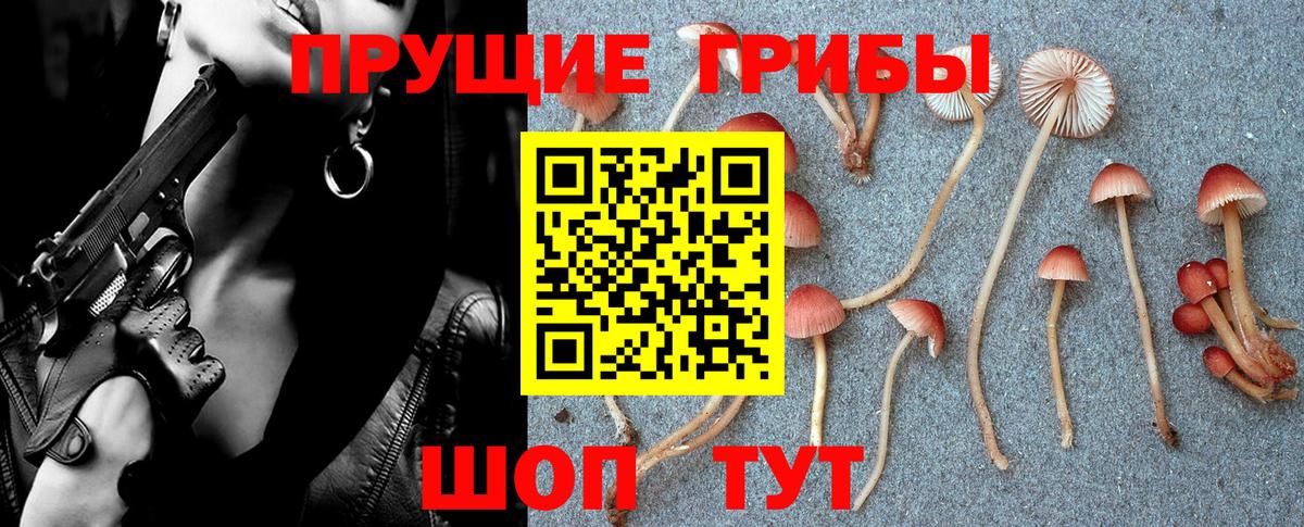 Галлюциногенные грибы Psilocybine cubensis  Шадринск 